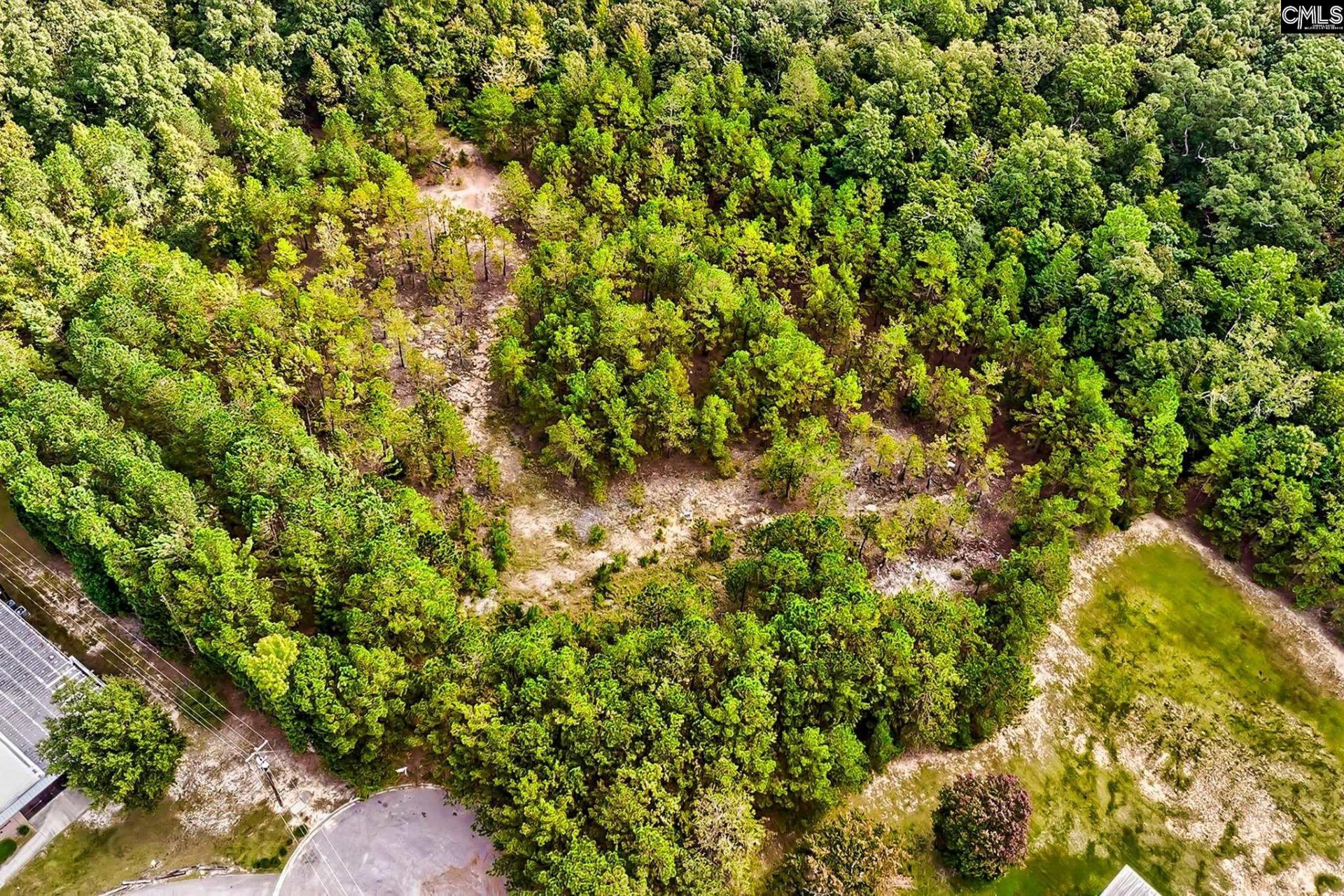 184 Lott Court Photo 9