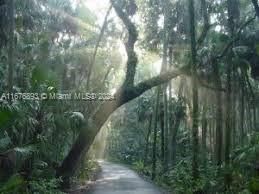 1507 Lindberg Ave, Lake Placid, FL 33872 Photo