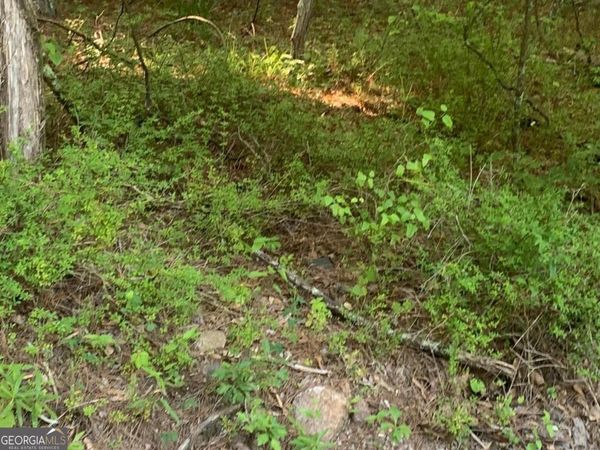 E OF 246 MATTHE E of 246 Matthews Road, Unit TRACT A 5, Fayetteville, GA 30215