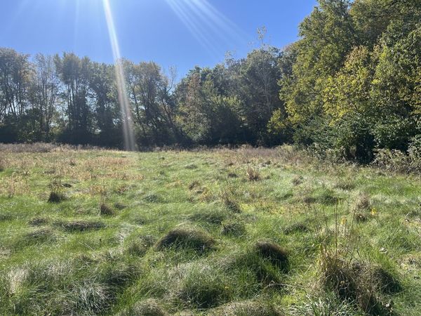 211 Norfolk Way, Essex, IL 60935