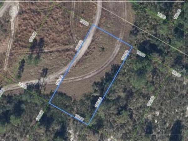 1033 CLEVELAND AVENUE, LAKE PLACID, FL 33852