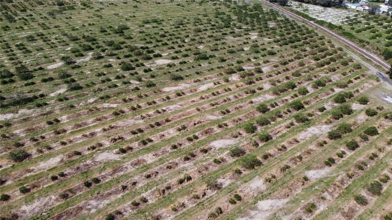 3200 Power Line Road, Avon Park, FL 33825 Photo