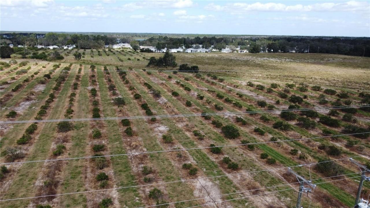 3200 Power Line Road, Avon Park, FL 33825 Photo