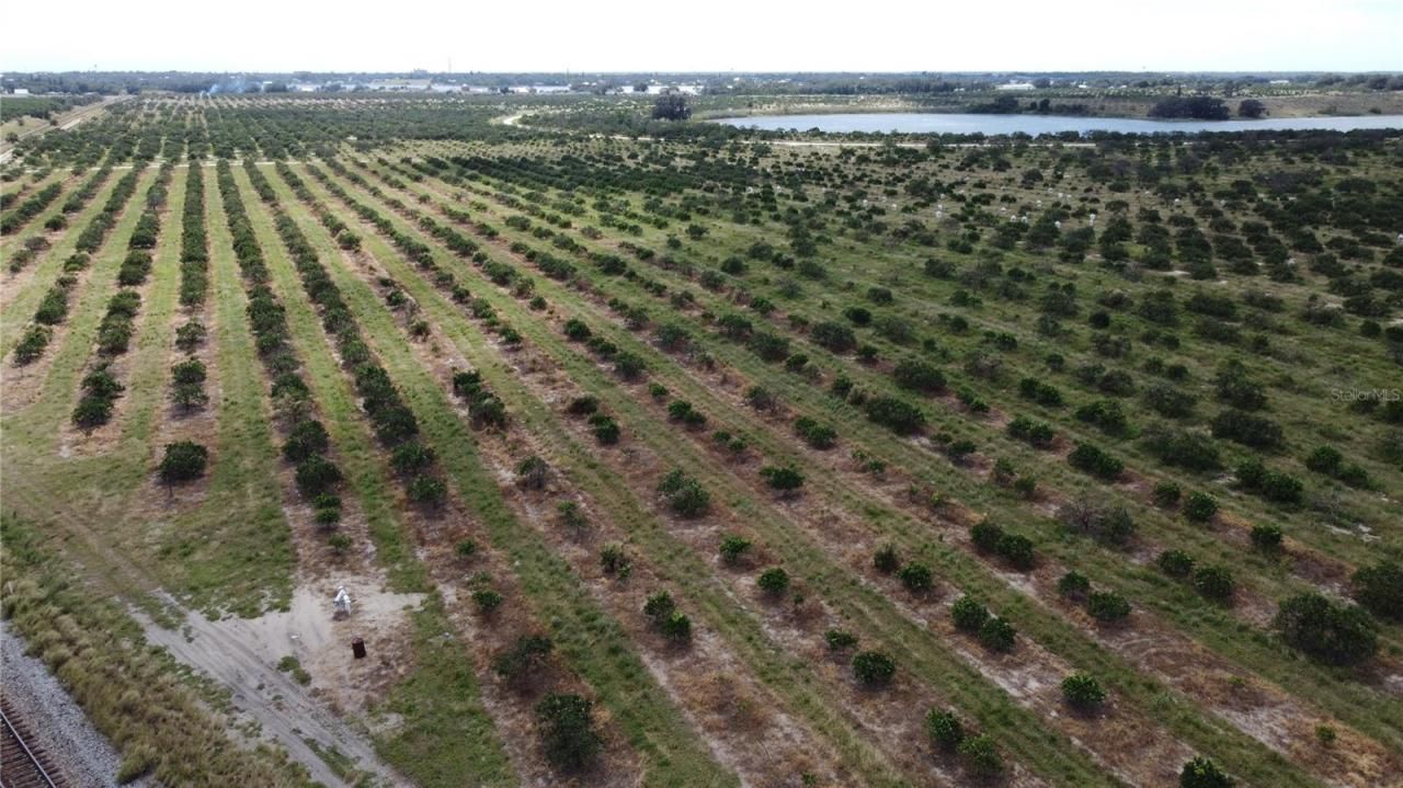 3200 Power Line Road, Avon Park, FL 33825 Photo