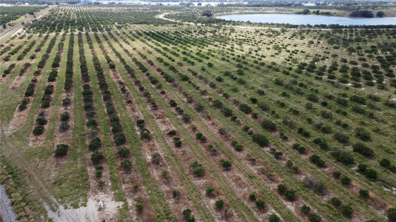 3200 Power Line Road, Avon Park, FL 33825 Photo