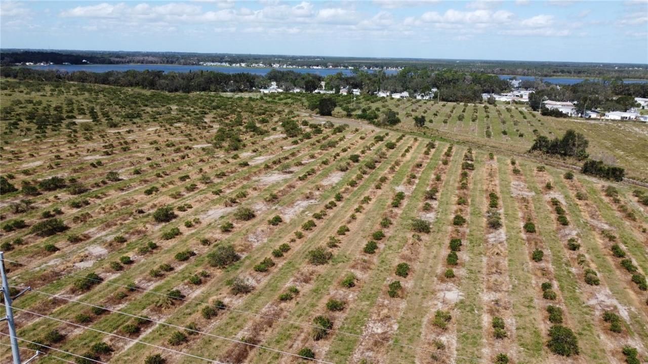 3200 Power Line Road, Avon Park, FL 33825 Photo