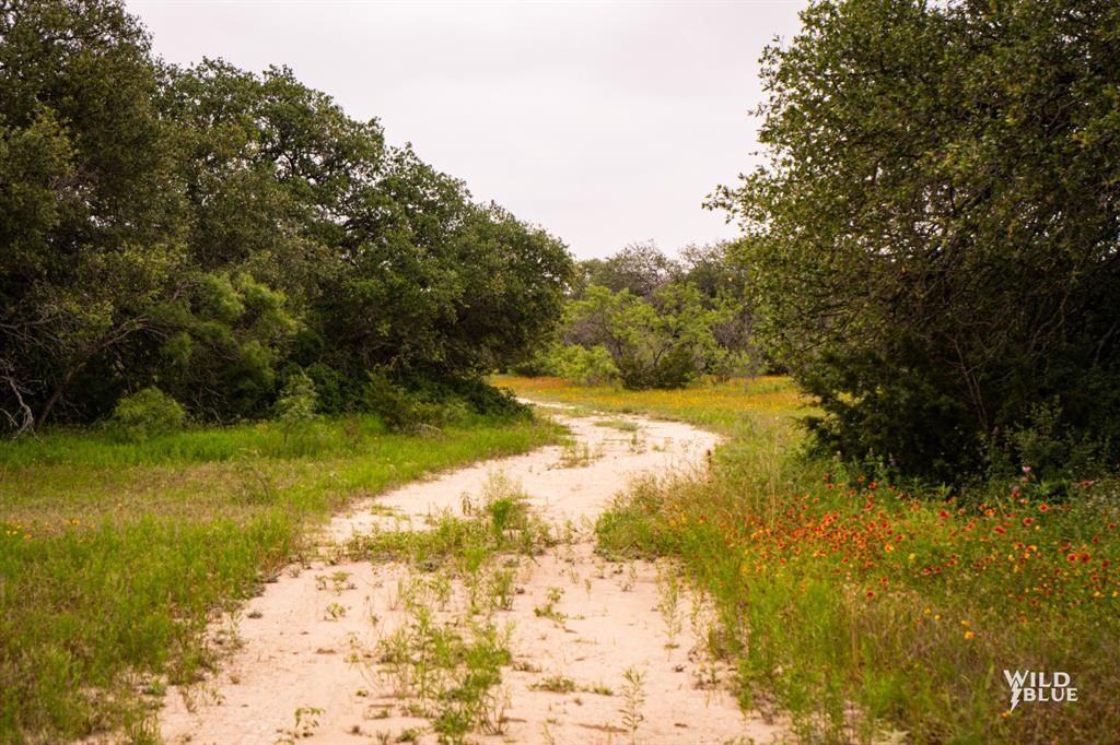 Tbd Highway 377 Us-377, Lot #377, Blanket, TX 76432 Main Photo