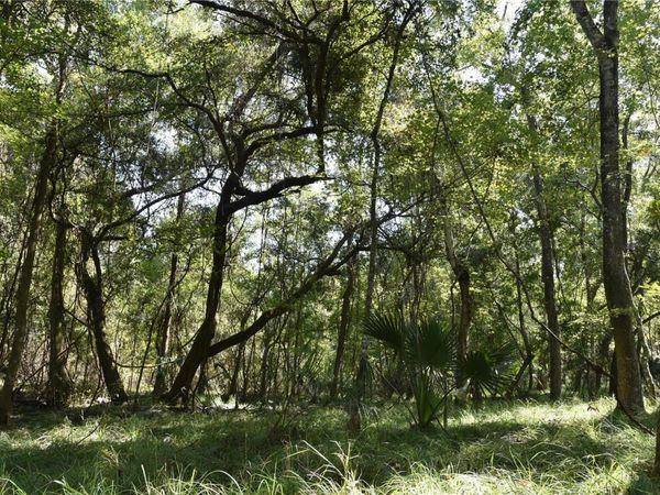 SE 24TH AVENUE, HAWTHORNE, FL 32640