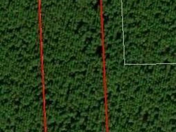 172811 ANDREWS Road, Hilliard, FL 32046