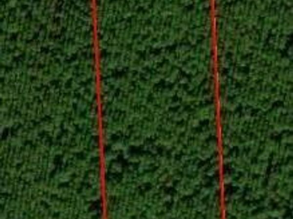 172747 ANDREWS Road, Hilliard, FL 32046