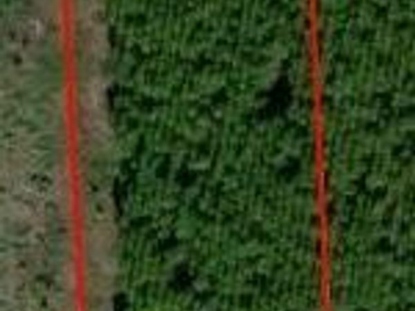 172489 ANDREWS Road, Hilliard, FL 32046