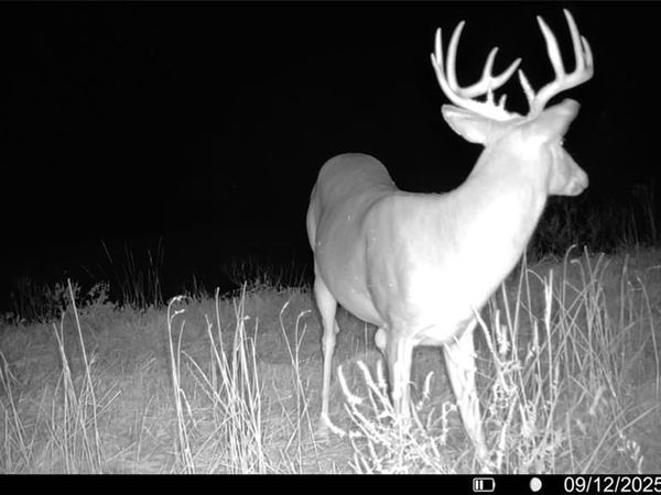 5480 State Route A Rural Route, Higbee, MO 65257