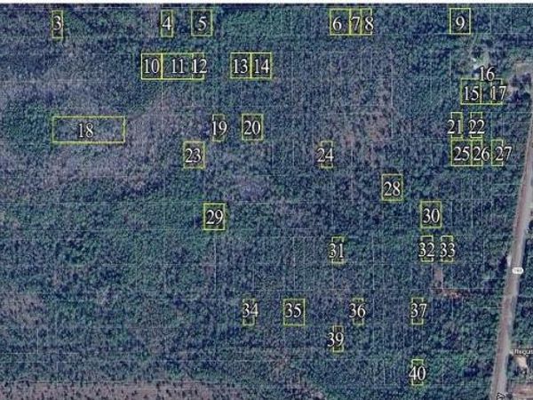 0 Dauphin Island Parkway, Coden, AL 36523