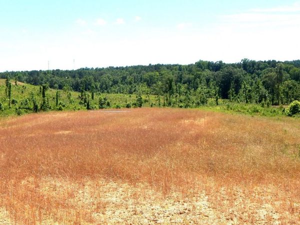 211 Hugh White State Park Road, Grenada, MS 38901