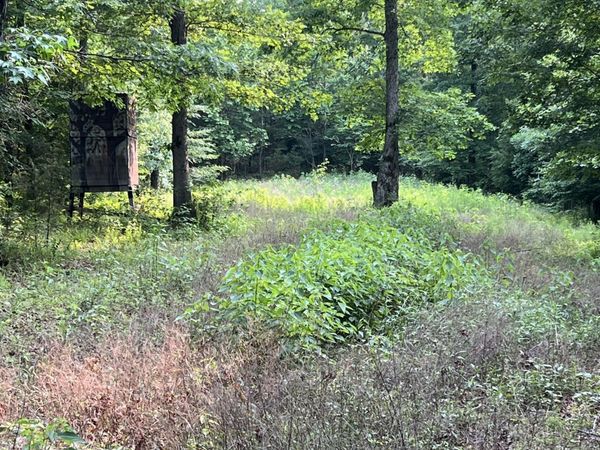 1 Cane Creek Road, Hohenwald, TN 38462