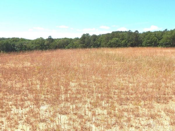 612a Hugh White State Park Road, Grenada, MS 38901