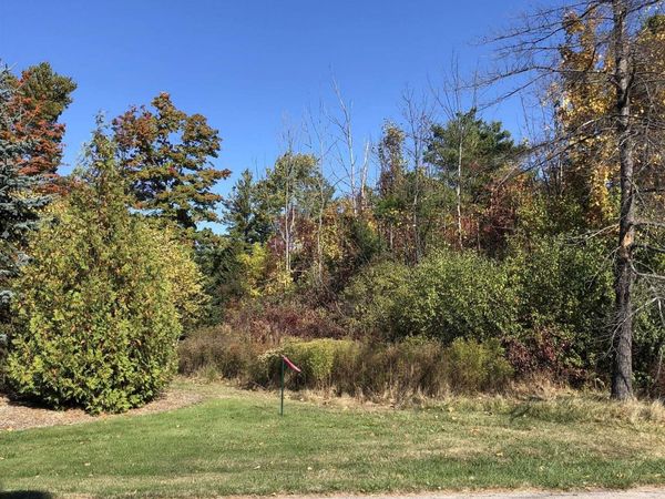 4 Lamoreaux Drive, Elk Rapids, MI 49629