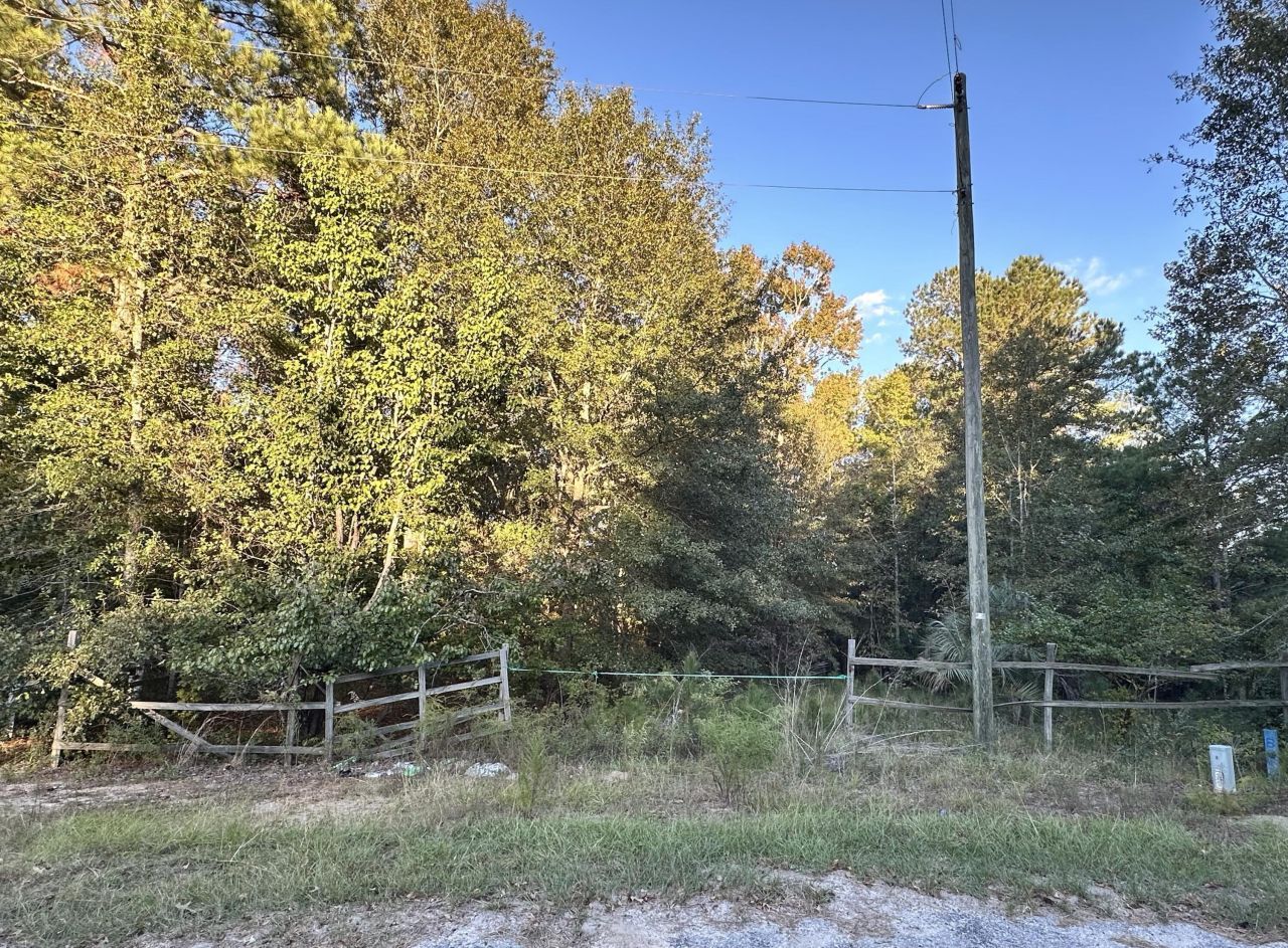 214 Sparklewood Drive Photo 2