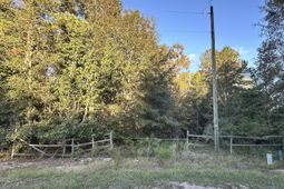 214 Sparklewood Drive photo 4