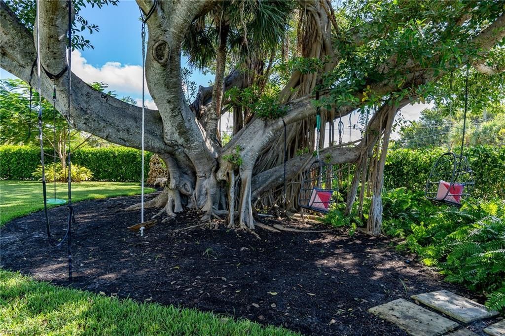 1133 Golden Olive Ct, Sanibel, FL 33957 Photo