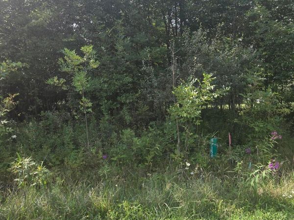 0 Cranberry Trail Road, Mount Gilead, OH 43338