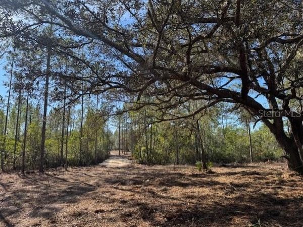 11901 NE 150TH AVE ROAD, FORT MC COY, FL 32134