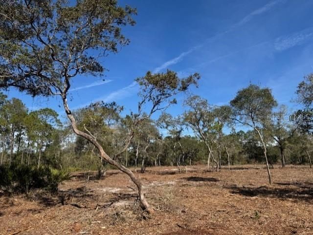 11901 NE 150th Ave Road, Fort Mc Coy, FL 32134 Photo