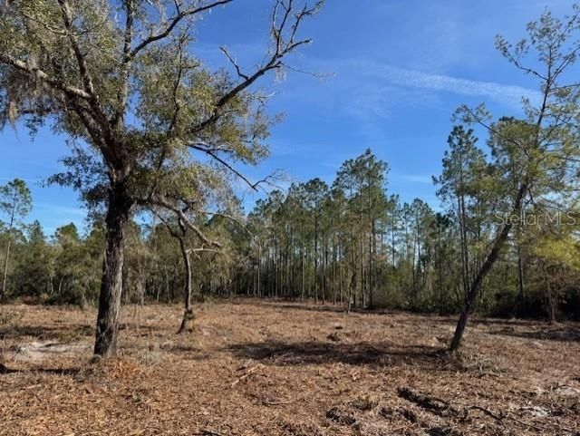 11901 NE 150th Ave Road, Fort Mc Coy, FL 32134 Photo