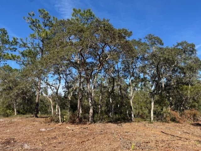 11901 NE 150th Ave Road, Fort Mc Coy, FL 32134 Photo