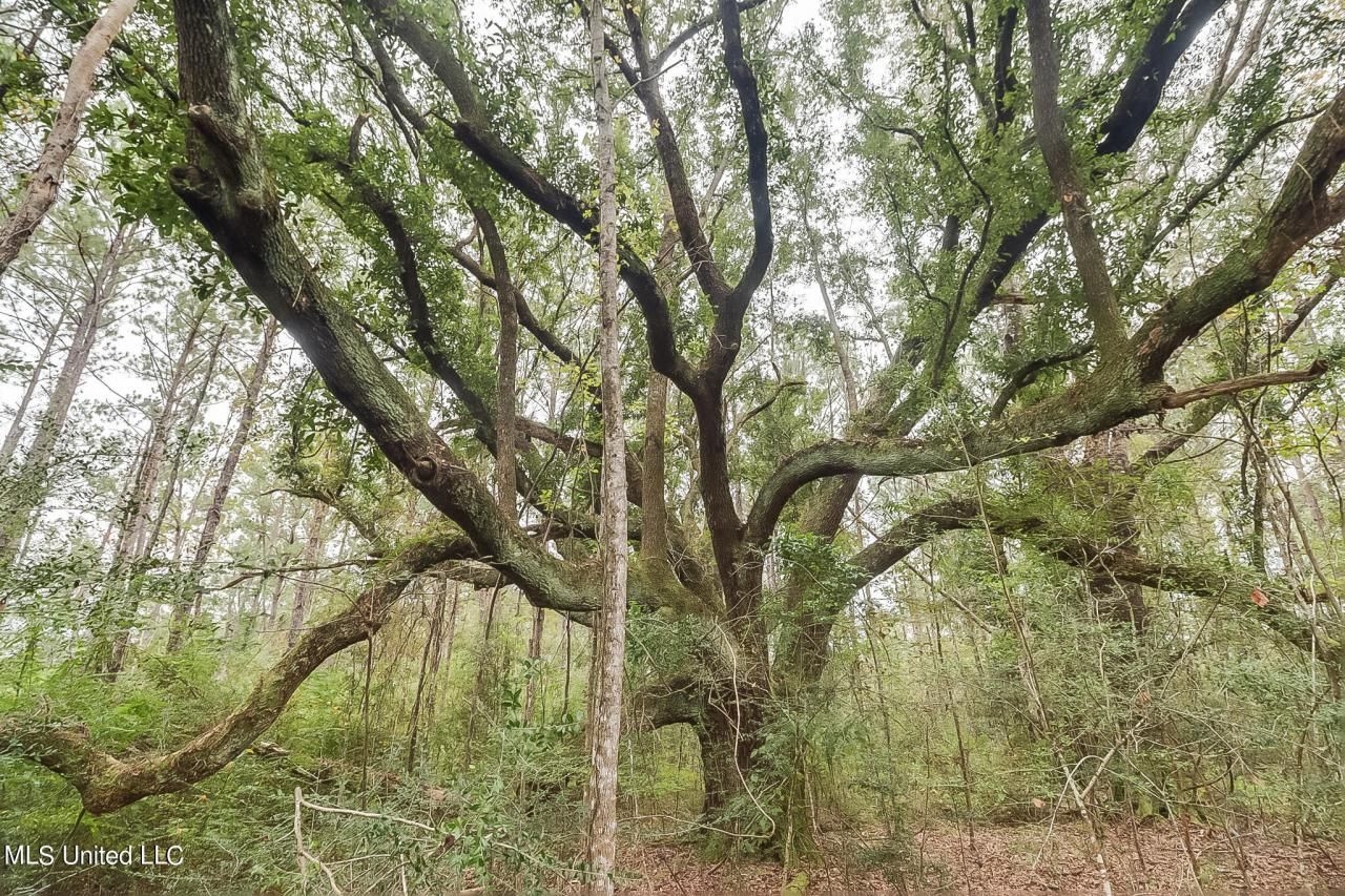 000 Broome School Road, Perkinston, MS 39573 Main Photo