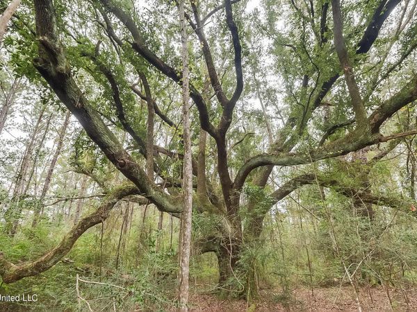 000 Broome School Road, Perkinston, MS 39573