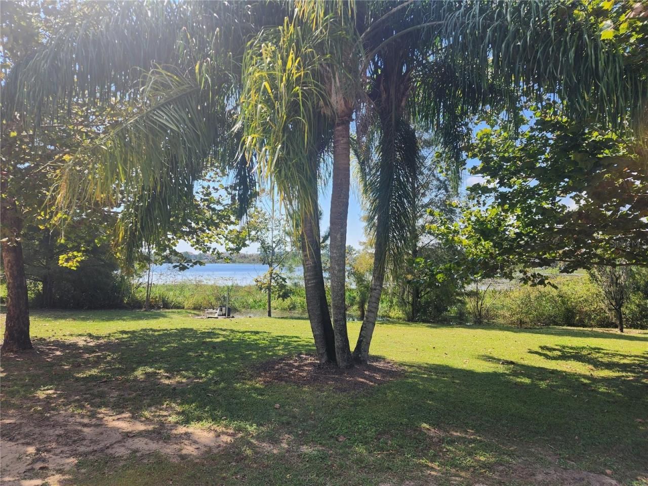14902 Arrena Road, Winter Garden, FL 34787 Photo