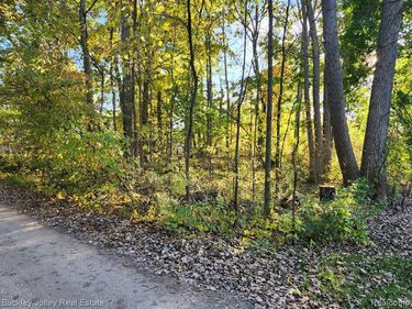 0000 VAN HORN Drive, Hamburg Twp, MI 48169