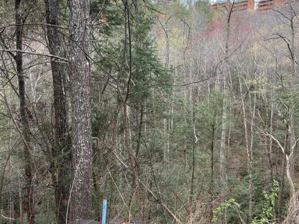 Lot 73 Smoky Ridge Way, Sevierville, TN 37862