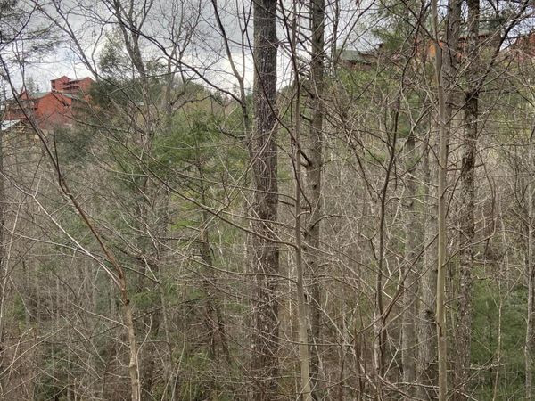 Lot 74 Smoky Ridge Way, Sevierville, TN 37862