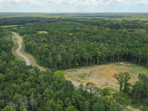 Stout Meadows Lane, Madison, MS 39110