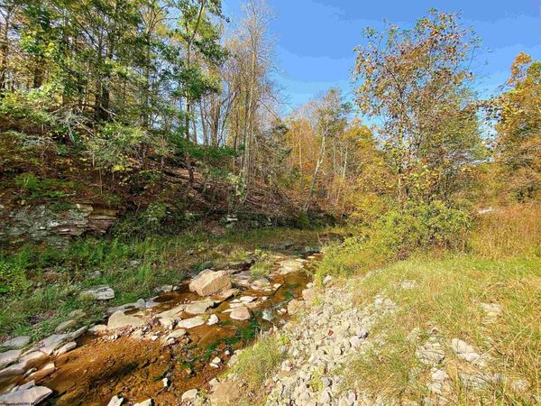 Lot 2 Blizzards Gate Road, Harman, WV 26270