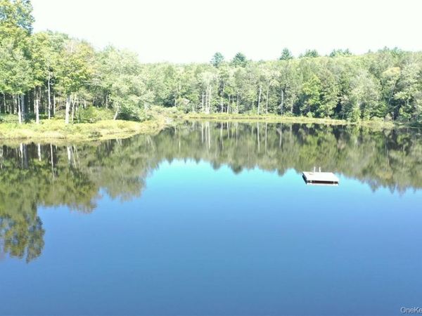 17 Gold Dan, Unit 56C, Swan Lake, NY 12783