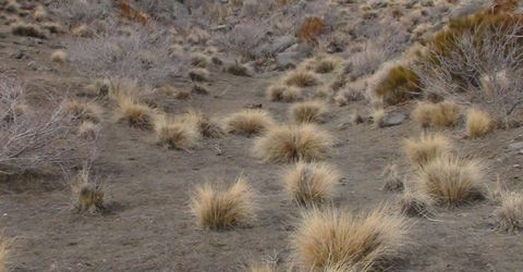 1265 Freds Mountain Road, Reno, NV 89508 Photo