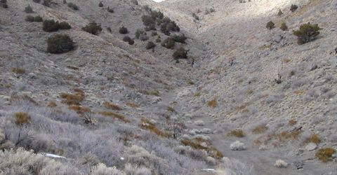 1265 Freds Mountain Road, Reno, NV 89508 Photo