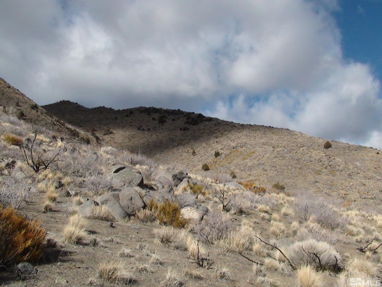 1265 Freds Mountain Road, Reno, NV 89508 Photo