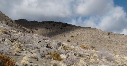 1265 Freds Mountain Road, Reno, NV 89508 Photo