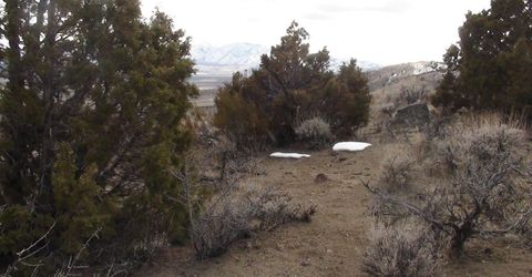 1265 Freds Mountain Road, Reno, NV 89508 Photo