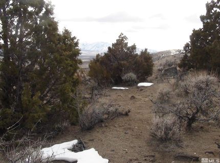 1265 Freds Mountain Road, Reno, NV 89508 Photo