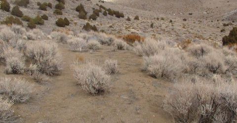 1265 Freds Mountain Road, Reno, NV 89508 Photo