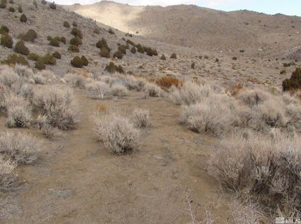 1265 Freds Mountain Road, Reno, NV 89508 Photo