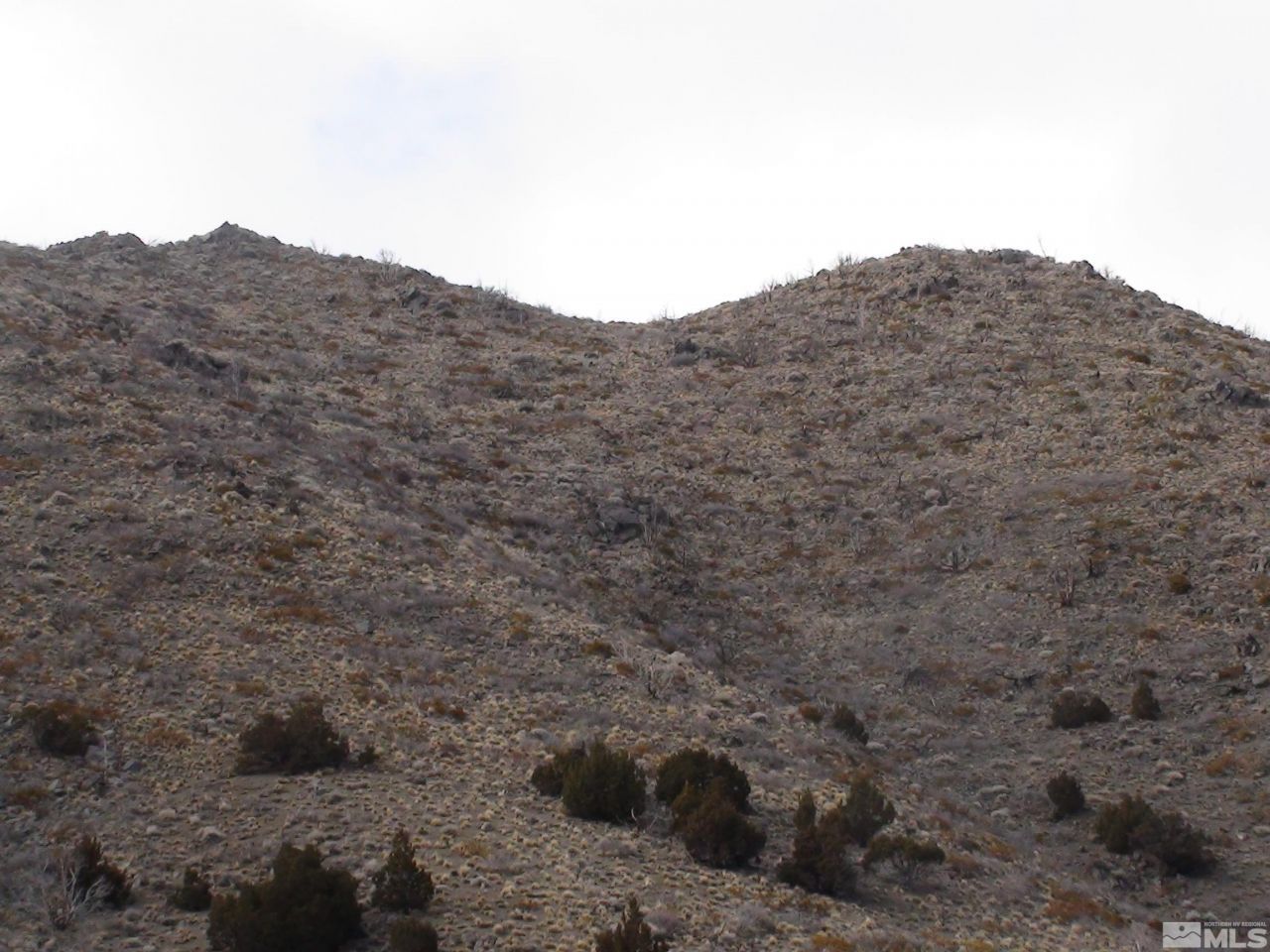 1265 Freds Mountain Road, Reno, NV 89508 Photo