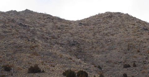 1265 Freds Mountain Road, Reno, NV 89508 Photo