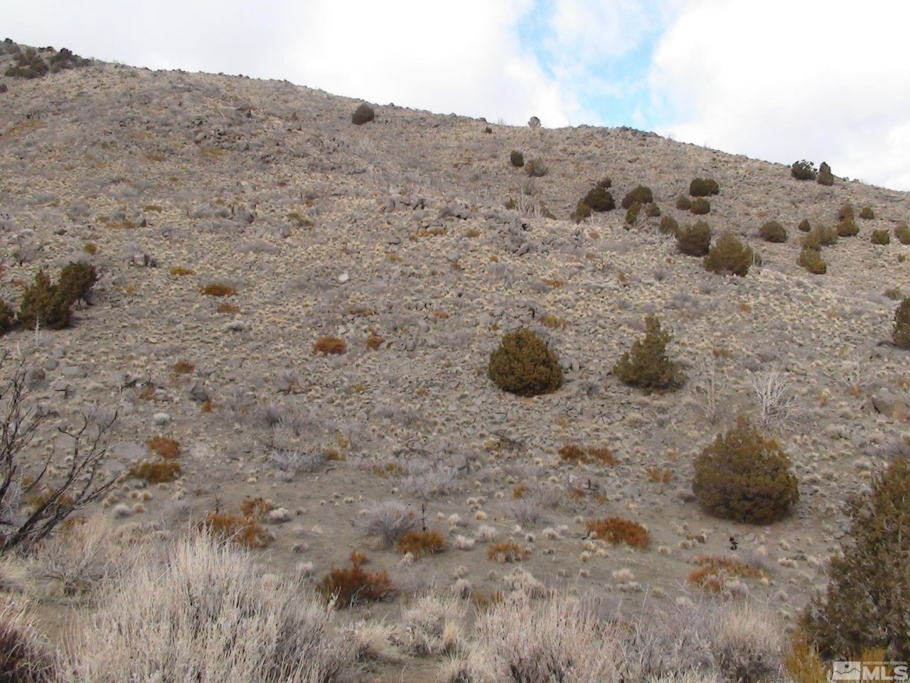 1265 Freds Mountain Road, Reno, NV 89508 Photo