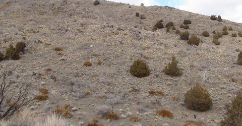 1265 Freds Mountain Road, Reno, NV 89508 Photo